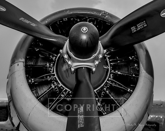 B-17 Prop B&W Landscape