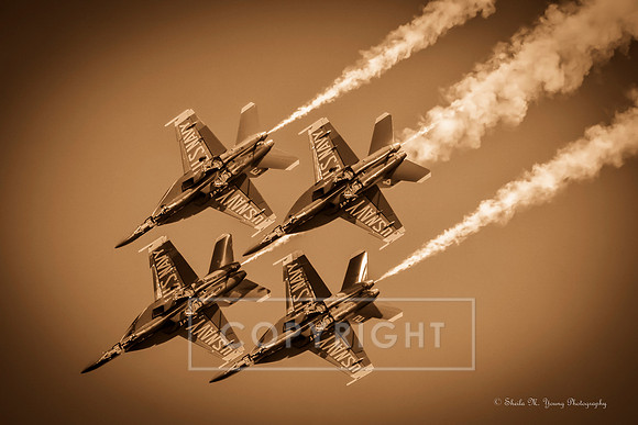 Super Hornets Buzz- Sepia