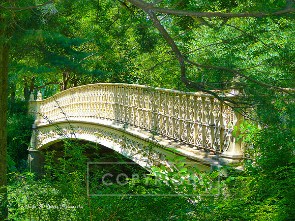 Bridge Across 4Ever