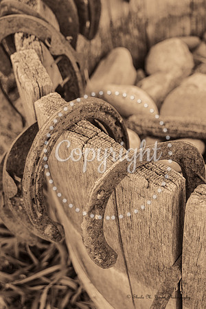 Horseshoe Bucket Sepia