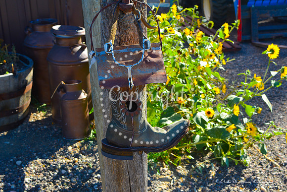 Cowgirl Boot and Sunflowers-Landscape