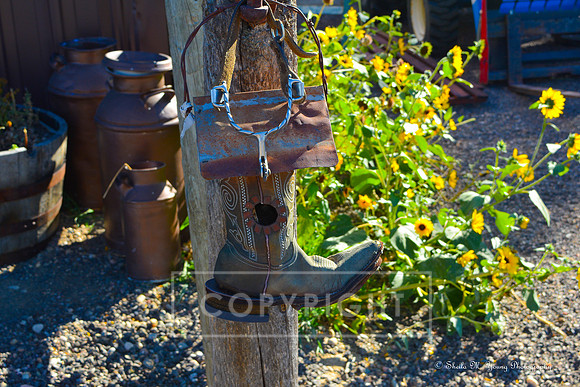 Cowgirl Boot and Sunflowers-Landscape