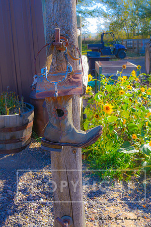 Cowgirl Boot and Sunflowers-Portrait