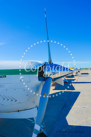 It's A Fly-In   Portrait