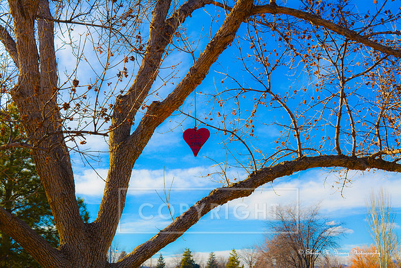 Loveland Tree