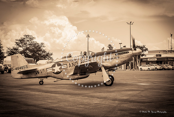 Mustang P-51 at Jet Center