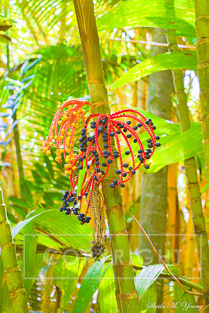 Bamboo Jeweled