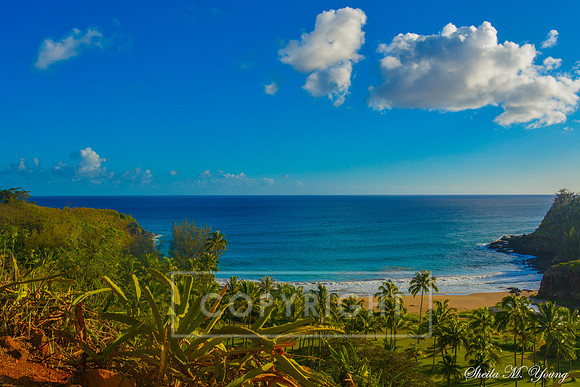 Allerton Beach Overlook