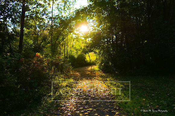 Guiding Light