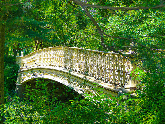 Bridge Across 4Ever