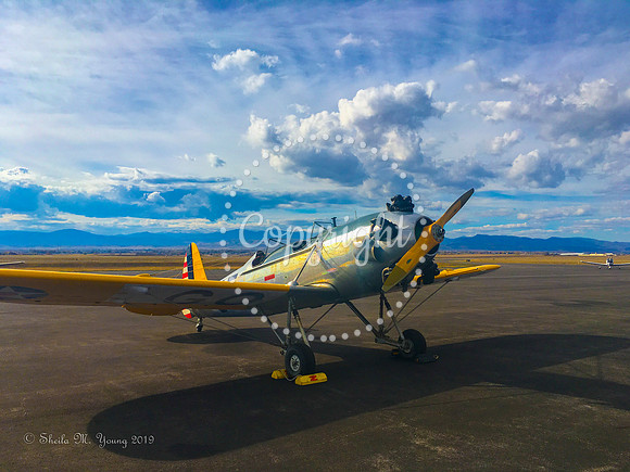 Vintage Beauty