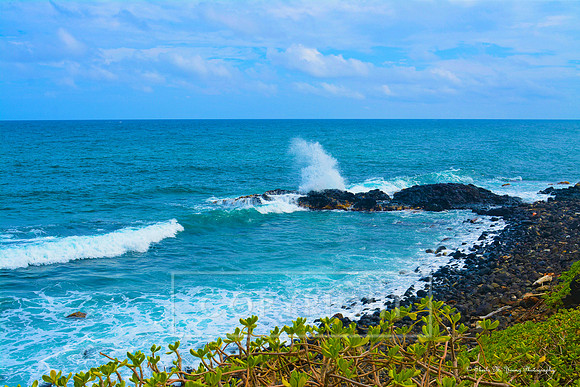 Hawaiian Sea Spray