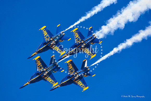 Super Hornets Buzz
