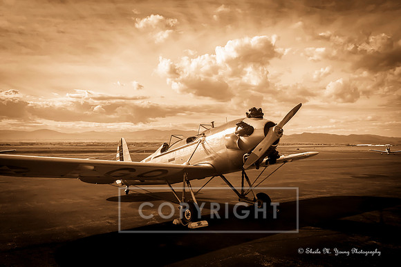 Vintage Beauty-Sepia