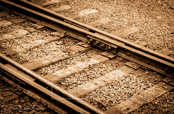 On the Rails -Sepia