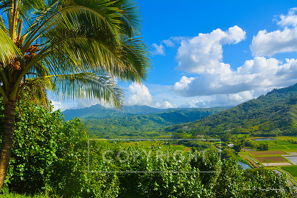 Kauai Overlook