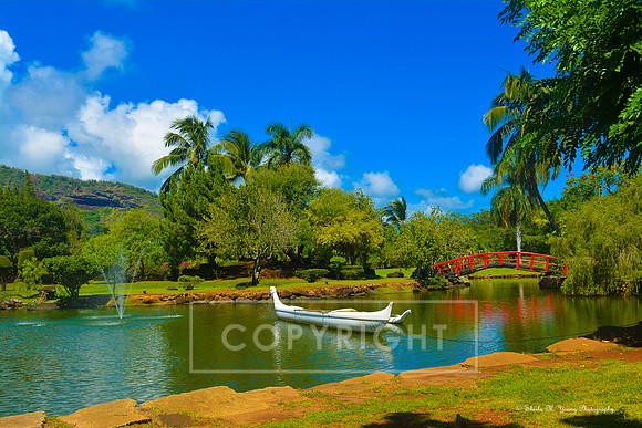 Hawaiian Reflection