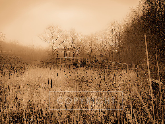 Winter Wetlands Pergola