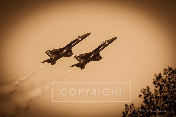 Blue Angels Screaming Over Trees - Sepia